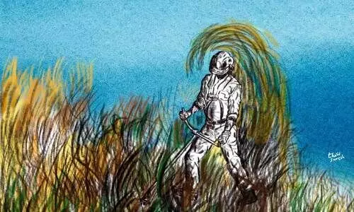 നീ​ർ​പ്പ​റ​വ​ക​ൾ