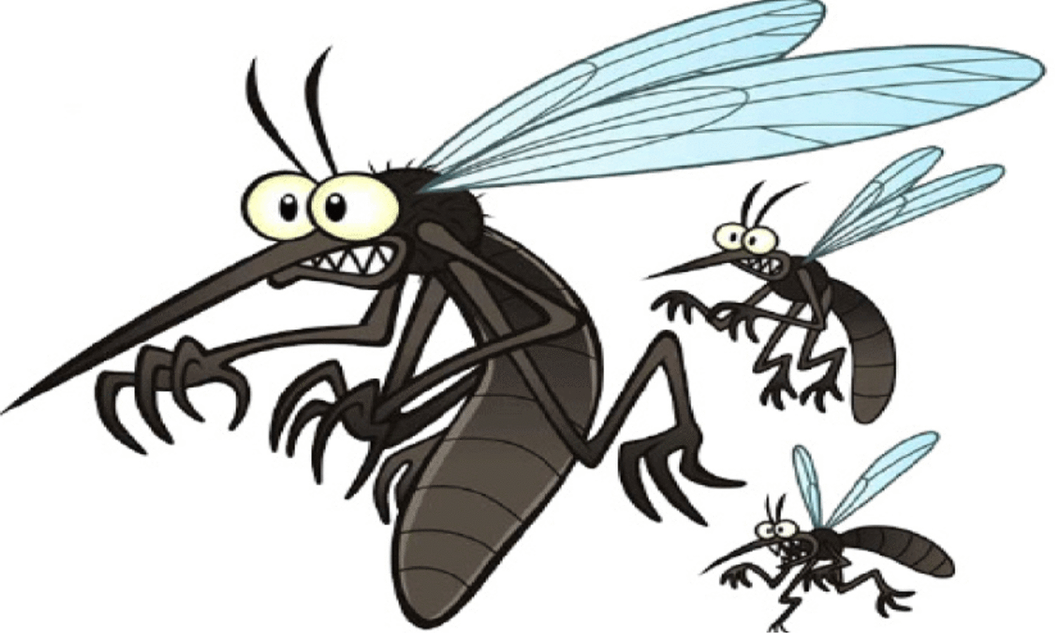 കൊ​തു​കു​ക​ളു​ടെ​യും എ​ലി​ക​ളു​ടെ​യും ശ​ല്യം കൂ​ടും; വേ​ണം ജാ​ഗ്ര​ത