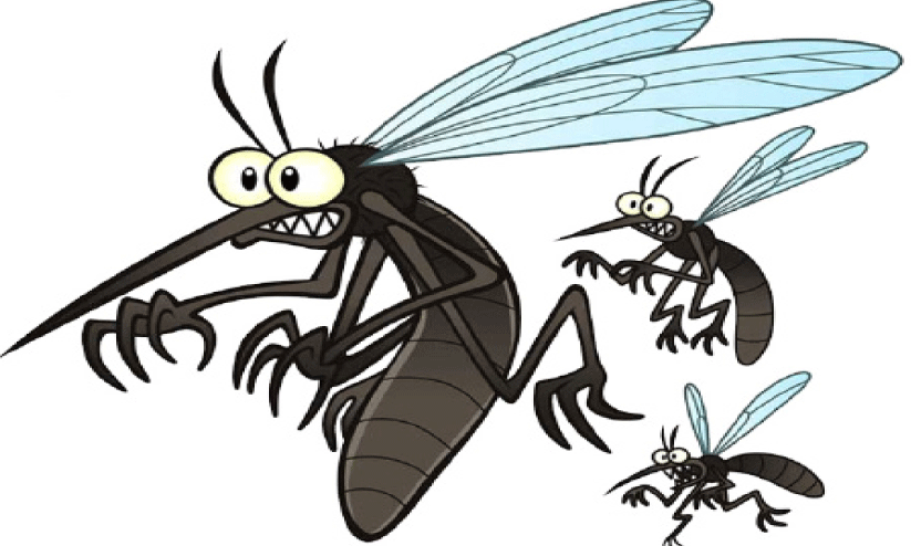 കൊ​തു​കു​ക​ളു​ടെ​യും എ​ലി​ക​ളു​ടെ​യും ശ​ല്യം കൂ​ടും; വേ​ണം ജാ​ഗ്ര​ത