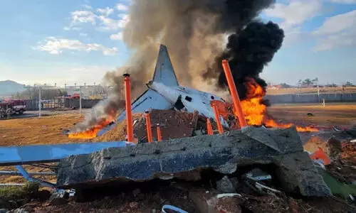 ‘പക്ഷി ഇടിക്കാൻ’ സാധ്യതയുണ്ടെന്ന് കൺട്രോൾ ടവർ; ‘മേഡെ’ എന്ന് പ്രതികരിച്ച് അപകടത്തിൽപ്പെട്ട വിമാനത്തിന്റെ  പൈലറ്റ്