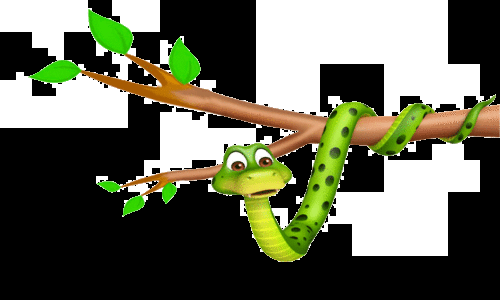 പാമ്പുകളെ ശ്രദ്ധിക്കാം; അപകടമൊഴിവാക്കാം