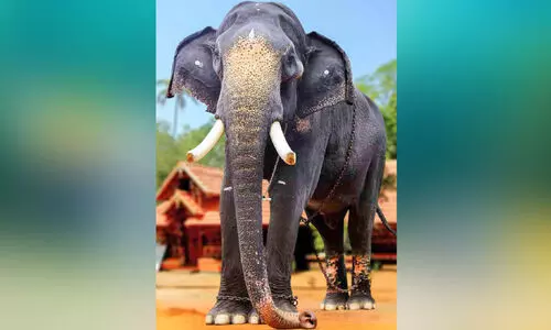 വെട്ടിക്കാട്ട് ചന്ദ്രശേഖരൻ വിടപറഞ്ഞിട്ട് ഒരുവർഷം