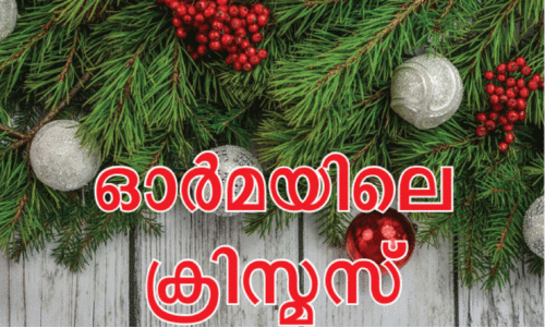 മ​നോ​ഹ​ര​മാ​യ ഒ​രു കു​ട്ടി​ക്കാ​ല​ത്തി​ന്റെ ഓ​ർ​മ