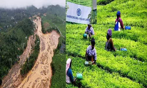 പുനരധിവാസത്തിന് ഭൂമി ഏറ്റെടുക്കൽ: കോടതി പറഞ്ഞ ബോണ്ടിന് ആര് സെക്യൂരിറ്റി നൽകും?