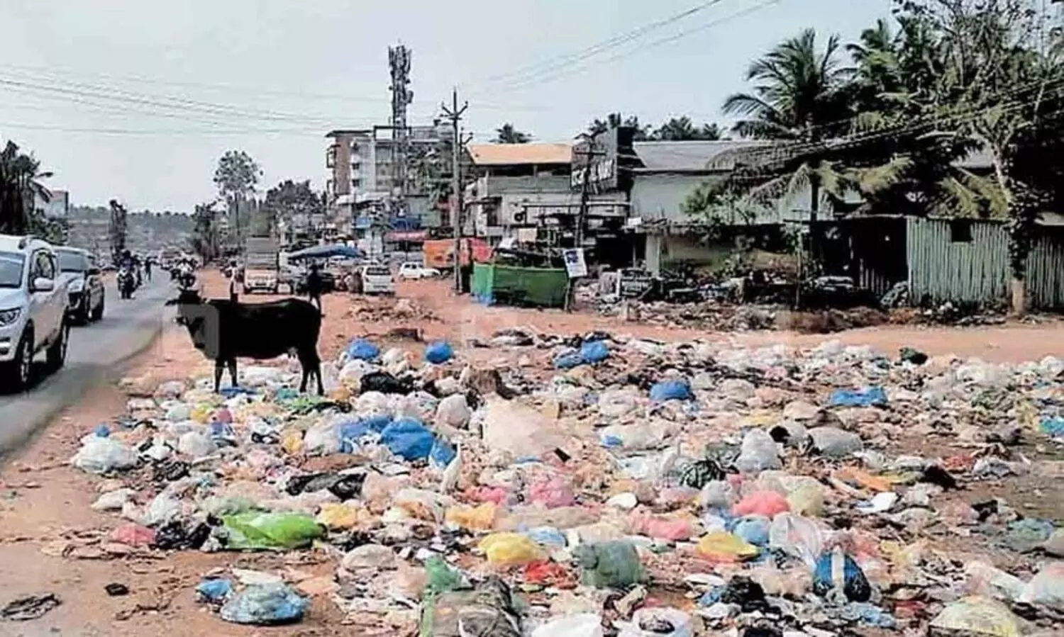 മാലിന്യം വലിച്ചെറിയൽ: കാമറ നിരീക്ഷണം ശക്തമാക്കി സർക്കാർ