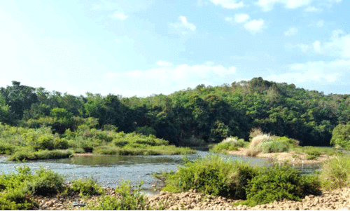 കാണാക്കയങ്ങളിൽ മരണം കാത്തിരിക്കുന്നു...