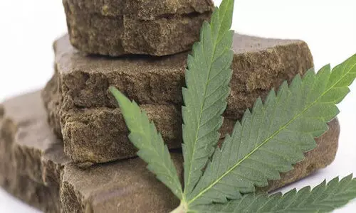 4000 കിലോ ഹഷീഷ്  മാങ്ങാ ചട്ണി ആയി കടത്താൻ ശ്രമിച്ചു; 37വർഷത്തിനുശേഷം 20 വർഷം തടവ്