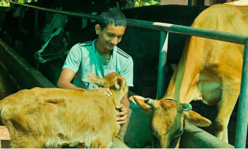 mathew benni mathew benni