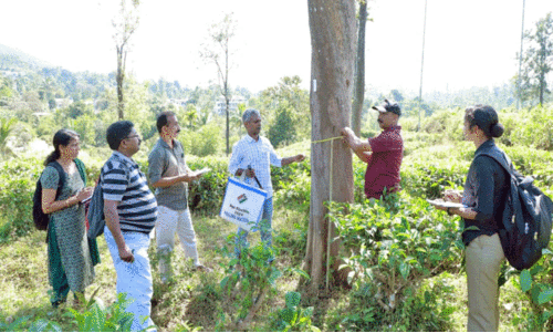പുനരധിവാസ ടൗൺഷിപ്പ് അന്തിമ സർവേ ഇന്ന് പൂർത്തിയാകും