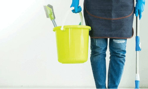 ഗാ​ർ​ഹി​ക തൊ​ഴി​ലാ​ളി​ക​ളു​ടെ ശ​മ്പ​ളം അ​ക്കൗ​ണ്ടു​ക​ൾ വ​ഴി മാ​ത്രം