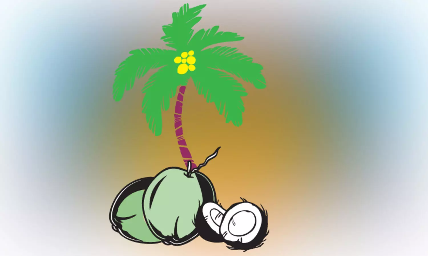 ഏഴ്​ വർഷത്തിനിടയിലെ ഉയർന്ന നിരക്കിൽ; കുതിച്ചുകയറി തേങ്ങ, വെളിച്ചെണ്ണ വില