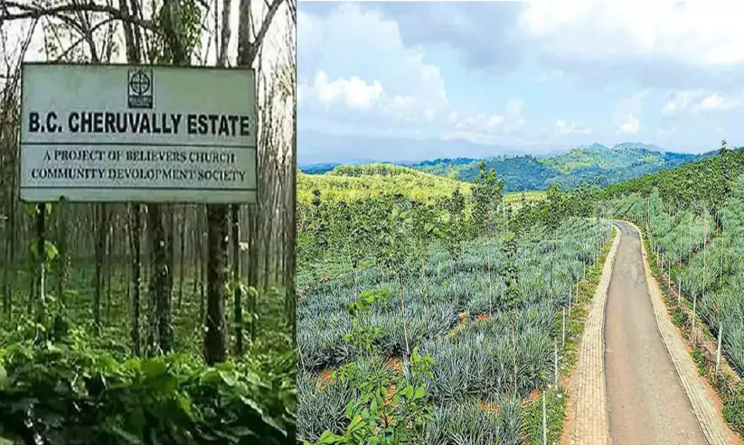 ശബരിമല വിമാനത്താവളത്തിന് ഭൂമി ഏറ്റെടുക്കൽ: സാമൂഹിക പ്രത്യാഘാത പഠന റിപ്പോർട്ട് വിലയിരുത്താൻ വിദഗ്ധസമിതി