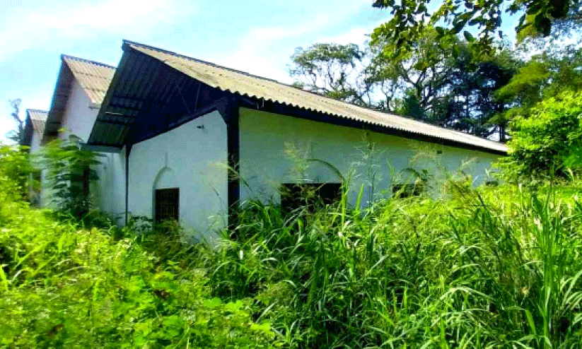 ട്രാംവെ മ്യൂസിയം: നവീകരിച്ച കെട്ടിടങ്ങൾ കാടുകയറുന്നു