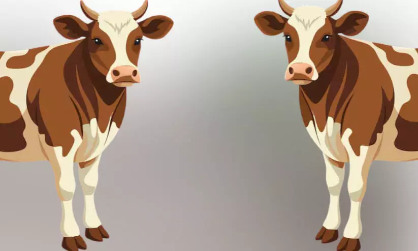 കർഷകരെ ചേർത്തുപിടിച്ച് ‘ക്ഷീര സാന്ത്വനം’ കർഷകരെ ചേർത്തുപിടിച്ച് ‘ക്ഷീര സാന്ത്വനം’