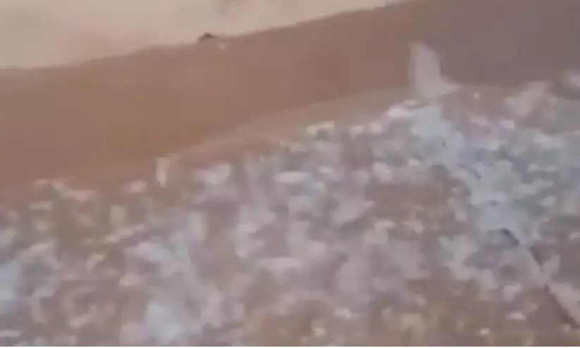 മ​ഴ​യി​ൽ ത​ണു​ത്ത്;ത​ണു​പ്പി​ൽ പു​ത​ച്ച് രാ​ജ്യം