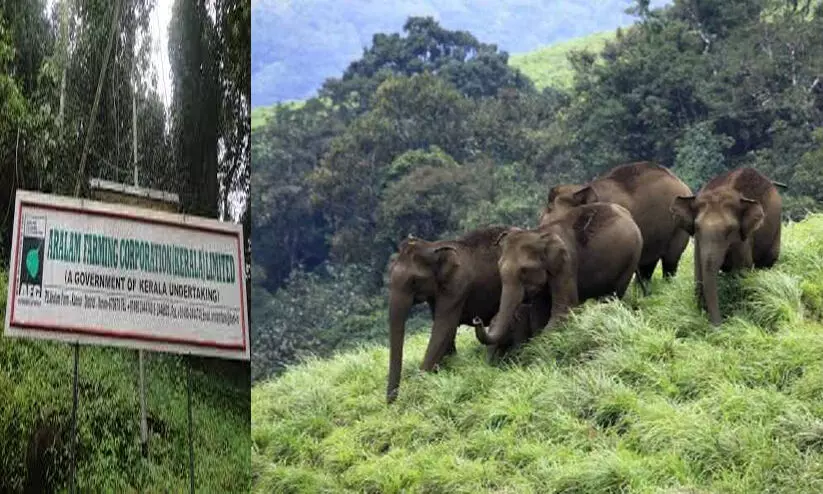 ആറളം ഫാമിംഗ് കോര്‍പ്പറേഷന്‍ തൊഴിലാളികളുടെ ശമ്പള കുടിശ്ശിക തീര്‍പ്പാക്കുന്നതിന് നടപടിയെടുക്കും- മുഖ്യമന്ത്രി