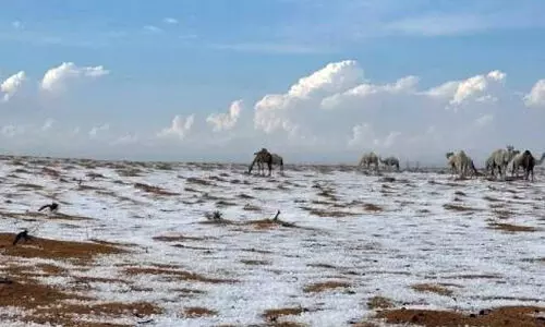 സൗദിയുടെ വിവിധ മേഖലകളിൽ തണുപ്പ് കടുക്കുന്നു സൗദിയുടെ വിവിധ മേഖലകളിൽ തണുപ്പ് കടുക്കുന്നു
