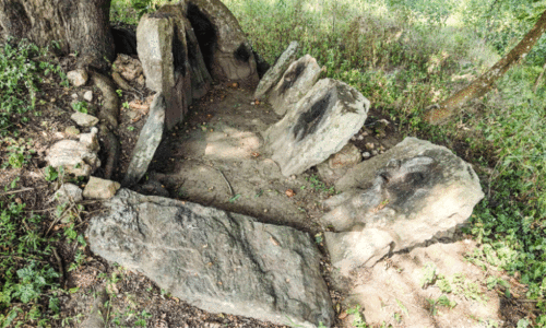 അട്ടപ്പാടിയിൽ ചരിത്രശേഷിപ്പുകൾ കണ്ടെത്തി