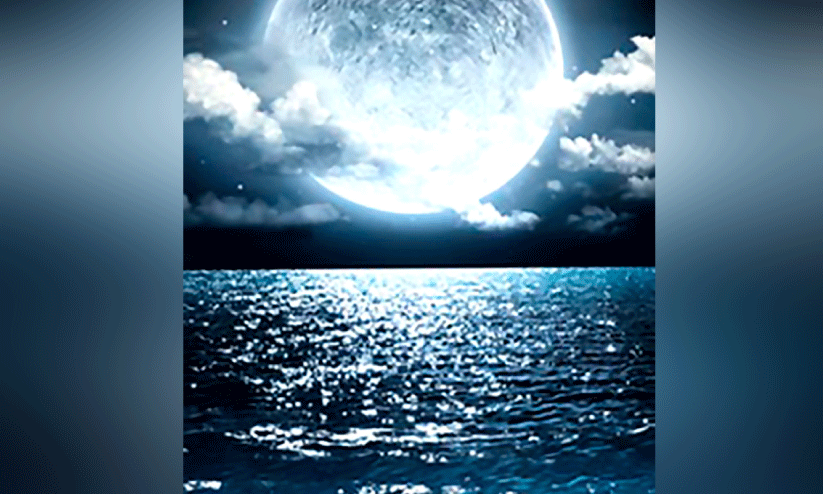 കടൽ മുറിവുകൾ