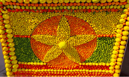 അ​ൽ ഉ​ല​യി​ൽ മ​ധു​ര​നാ​ര​ങ്ങ മേ​ള​ക്ക്​ തു​ട​ക്കം