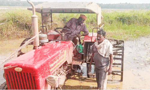 കർഷകർ പണം മുടക്കി വെള്ളം വറ്റിച്ചു; കരിങ്ങാലിപ്പാടം നെൽകൃഷിക്ക്​ ഒരുങ്ങുന്നു