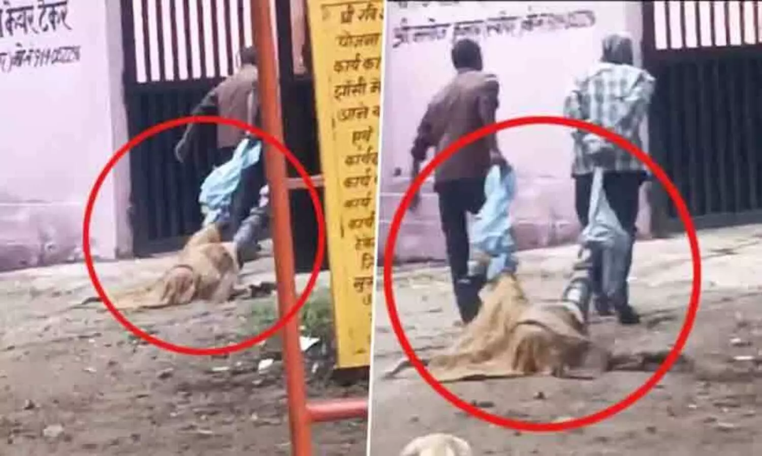 Body Dragged by Legs Outside Jhansi Autopsy center