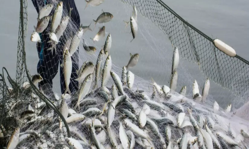 Traditional fishing Traditional fishing