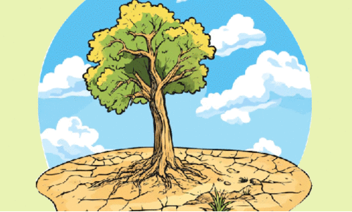 ജില്ലയിൽ വരൾച്ച രൂക്ഷമാകും; ജലാശയങ്ങളിൽ ജലനിരപ്പ്​ താഴുന്നു