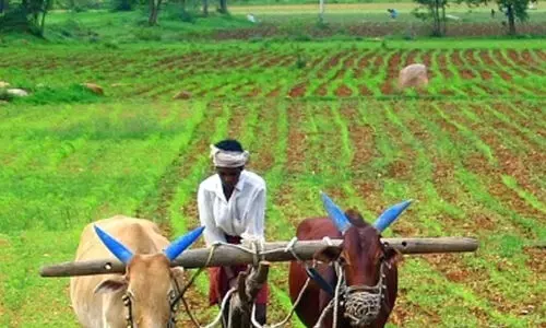 സാങ്കേതിക കാരണത്താൽ മുടങ്ങിയ പെൻഷൻ കുടിശിക കർഷകന് നൽകണമെന്ന് മനുഷ്യാവകാശ കമീഷൻ