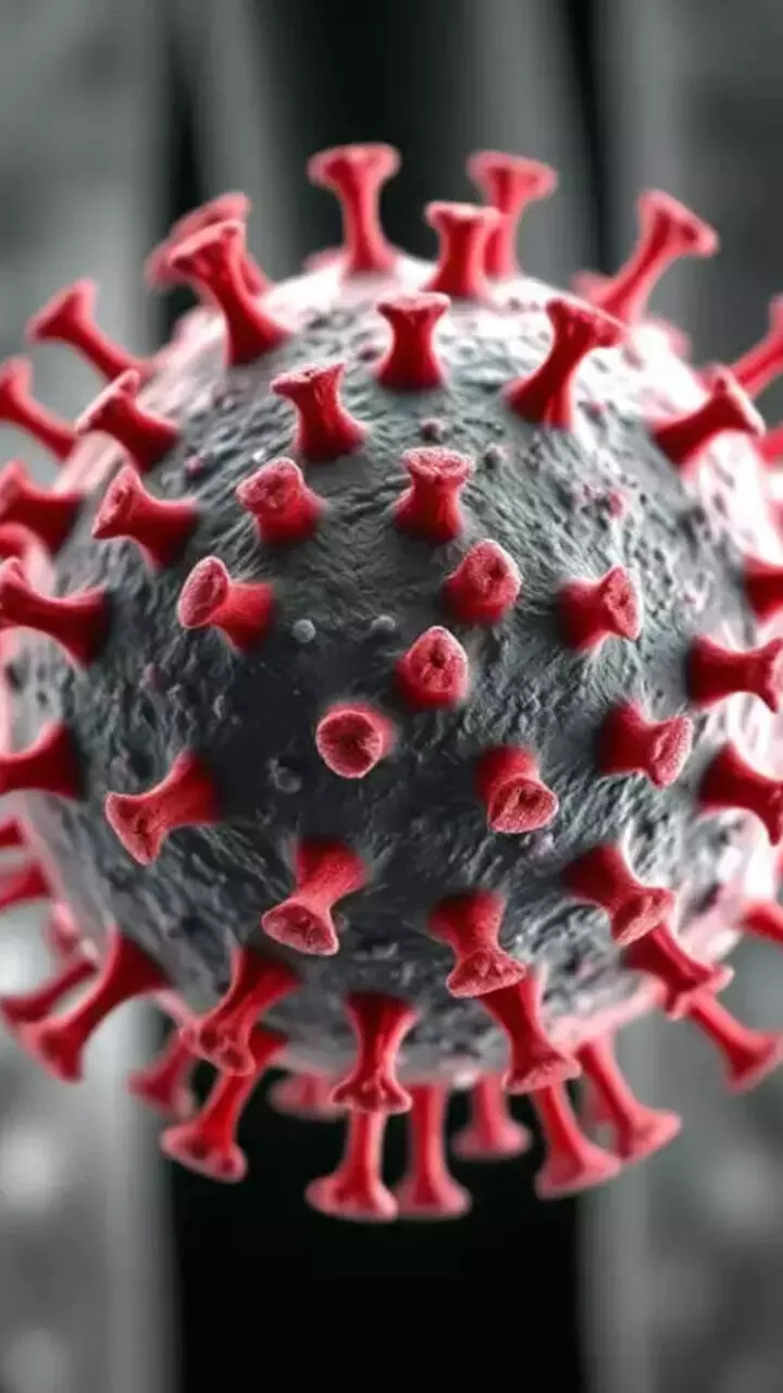 എന്താണ് എച്ച്.എം.പി.വി വൈറസ് ? ഭയപ്പെടേണ്ടതുണ്ടോ?