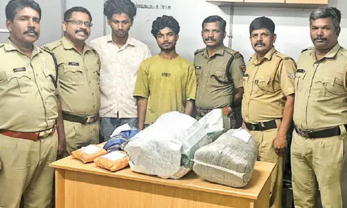 ഏഴ് കിലോ കഞ്ചാവുമായി രണ്ടുപേർ പിടിയിൽ