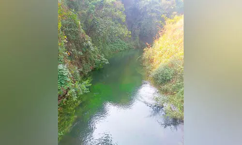 ട്രയൽ റൺ പൂർത്തിയാക്കി; ഇടത് കനാൽ വഴി ജലസേചനം ആരംഭിച്ചു