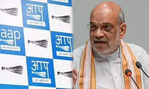 അമിത് ഷായെ ‘ഗജിനി’യാക്കി ആപ് വിഡിയോ, ഡൽഹി തെരഞ്ഞെടുപ്പിൽ ബി.ജെ.പിയെ കടന്നാക്രമിക്കാനുറച്ച് പാർട്ടി