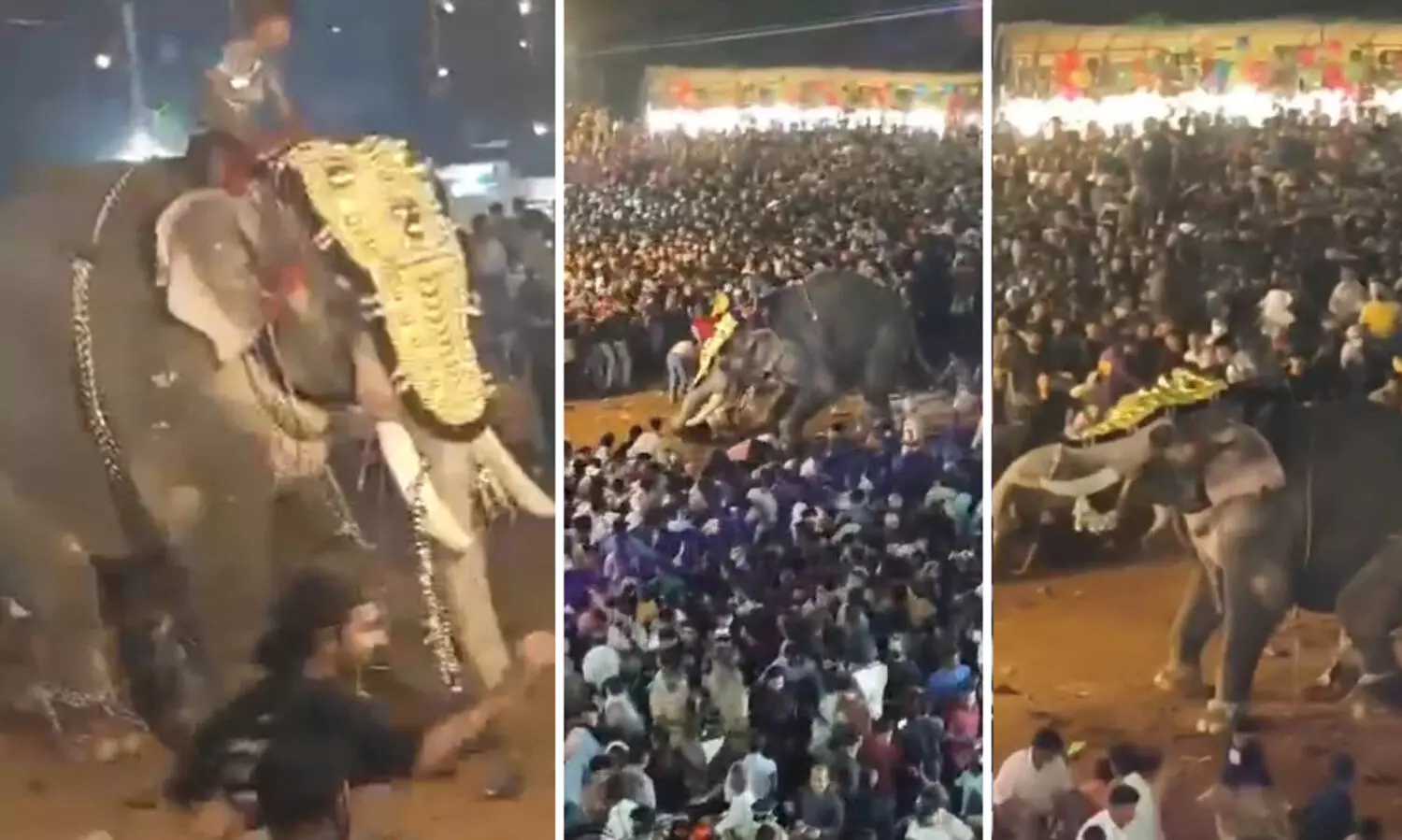 പുതിയങ്ങാടി നേർച്ച: ആനയുടെ ആക്രമണത്തിൽ പരിക്കേറ്റയാളുടെ നില ഗുരുതരം