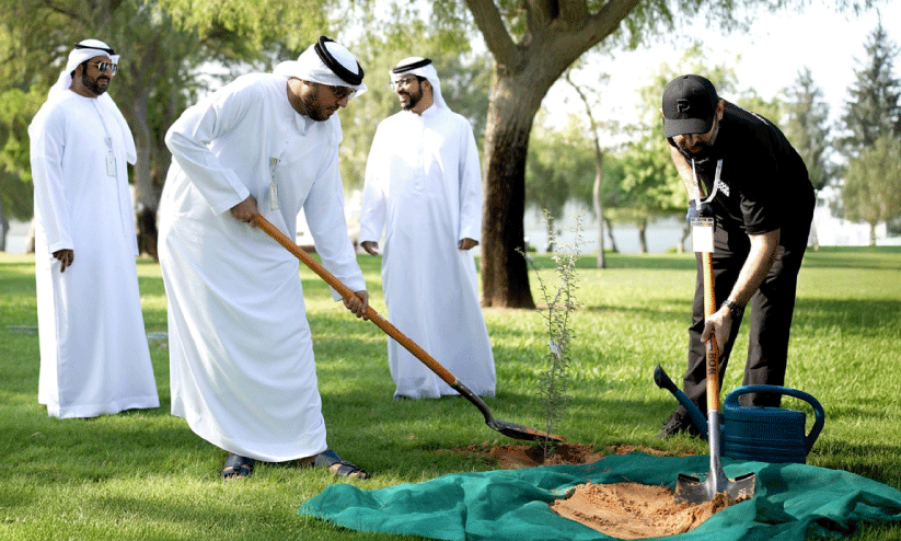 പ​രി​സ്ഥി​തി സം​ര​ക്ഷ​ണം: അ​ബൂ​ദ​ബി​യി​ല്‍ 8000 ഗാ​ഫ് മ​ര​ങ്ങ​ള്‍ ന​ട്ടു