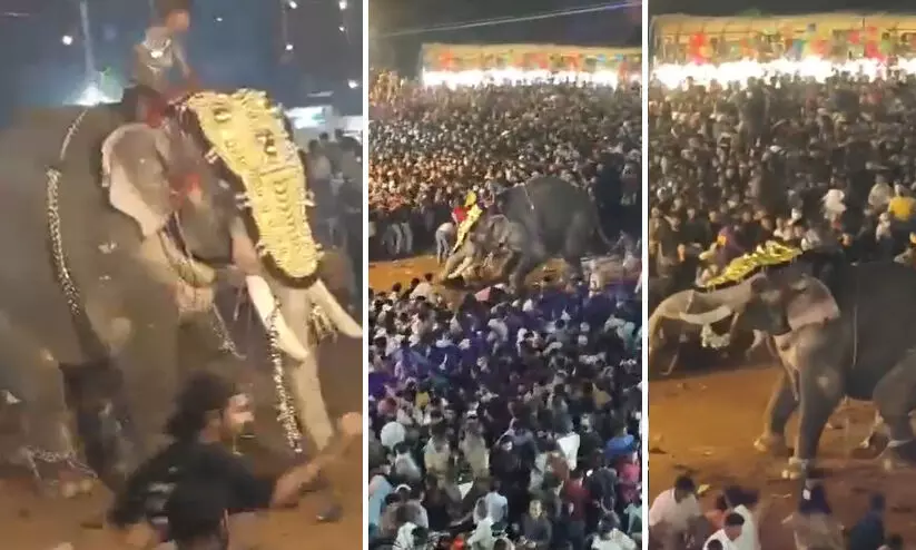 പുതിയങ്ങാടി നേർച്ച: ആനയുടെ ആക്രമണത്തിൽ പരിക്കേറ്റയാളുടെ നില ഗുരുതരം പുതിയങ്ങാടി നേർച്ച: ആനയുടെ ആക്രമണത്തിൽ പരിക്കേറ്റയാളുടെ നില ഗുരുതരം