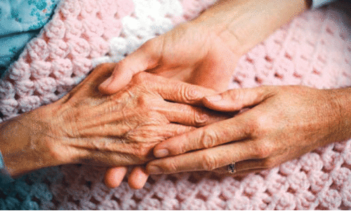 പാ​ലി​യേ​റ്റി​വ് പ്ര​സ്ഥാ​ന​ത്തെ വി​വാ​ദ​ങ്ങ​ളി​ലേ​ക്ക് ത​ള്ളി​യി​ട​രു​ത്