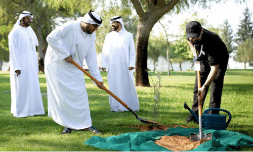 പ​രി​സ്ഥി​തി സം​ര​ക്ഷ​ണം: അ​ബൂ​ദ​ബി​യി​ല്‍ 8000 ഗാ​ഫ് മ​ര​ങ്ങ​ള്‍ ന​ട്ടു