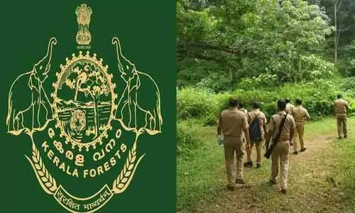 വന നിയമത്തിനൊപ്പം ജീവനക്കാരെയും മാറ്റാനൊരുങ്ങി വനം വകുപ്പ്