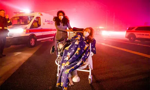 Los Angeles Wildfires