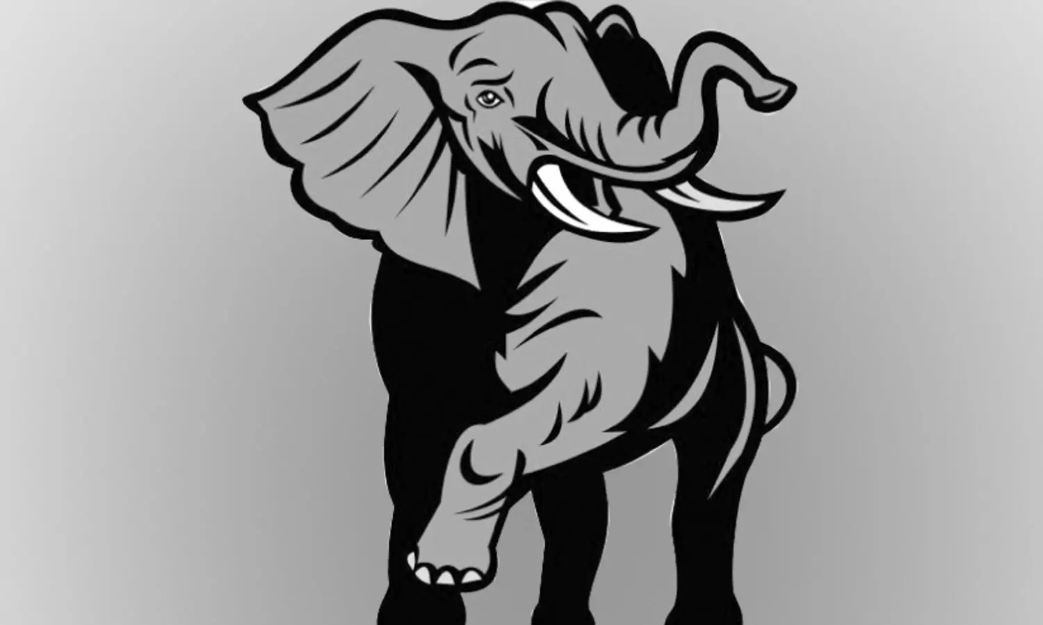 നോക്കുകുത്തിയായി വനംവകുപ്പ്​...എന്ന്​ മാറും കാട്ടാന ഭീതി?