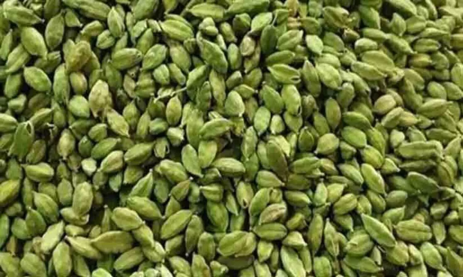 ബോഡിമെട്ടില്‍ നികുതി വെട്ടിച്ച് അതിര്‍ത്തി കടത്താന്‍ ശ്രമിച്ച 2,000 കിലോ ഏലക്ക പിടികൂടി