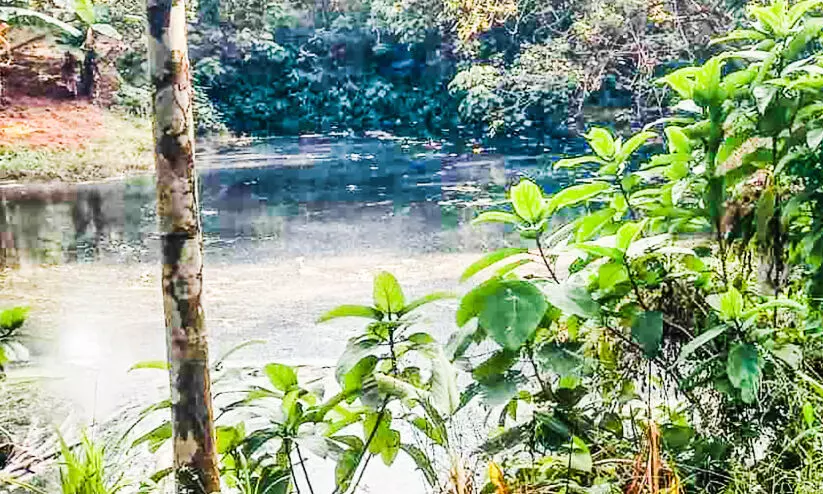 അണക്കോലി തുറയില് മലിനജലം; നടപടിയെടുക്കാന് അധികൃതര് മടിക്കുന്നു അണക്കോലി തുറയില് മലിനജലം; നടപടിയെടുക്കാന് അധികൃതര് മടിക്കുന്നു