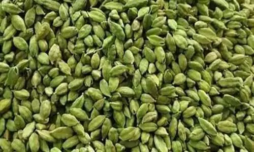 ബോഡിമെട്ടില്‍ നികുതി വെട്ടിച്ച് അതിര്‍ത്തി കടത്താന്‍ ശ്രമിച്ച 2,000 കിലോ ഏലക്ക പിടികൂടി