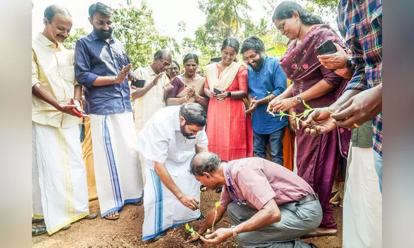 ഈ വേനലിൽ തണ്ണീർമത്തൻ മധുരം നിറയും