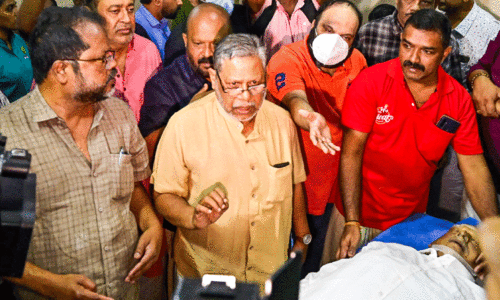 കൊച്ചിയുടെ കൊച്ചുതമ്പുരാൻ