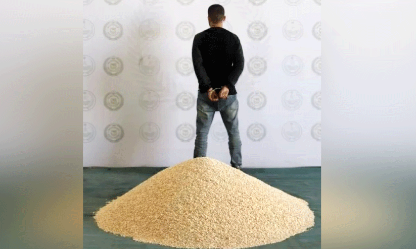 ഫ​ർ​ണി​ച്ച​റി​നു​ള്ളി​ൽ ഒ​ളി​പ്പി​ച്ച 19 ല​ക്ഷം ല​ഹ​രി ഗു​ളി​ക​ക​ൾ പി​ടി​കൂ​ടി