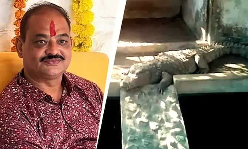 ആദായനികുതി റെയ്ഡിൽ മുൻ ബി.ജെ.പി എം.എൽ.എയുടെ വീട്ടിൽ കണ്ടത് മുതലകളെ