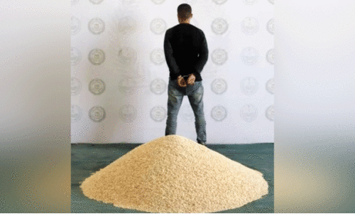 ഫ​ർ​ണി​ച്ച​റി​നു​ള്ളി​ൽ ഒ​ളി​പ്പി​ച്ച 19 ല​ക്ഷം ല​ഹ​രി ഗു​ളി​ക​ക​ൾ പി​ടി​കൂ​ടി