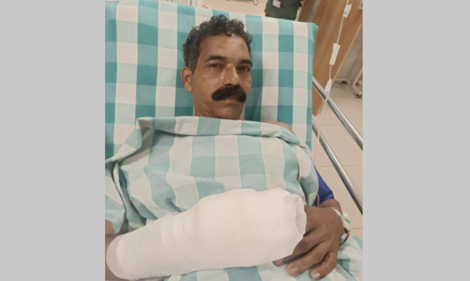 കാട്ടുപന്നി ആക്രമണത്തിൽ ഗൃഹനാഥന് ഗുരുതര പരിക്ക്